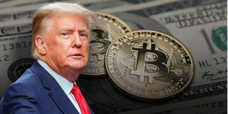Dollar Rises, Bitcoin hits record and stock swings as traders bet on Trump’s victory